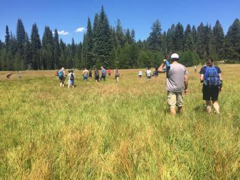 Searching for Camas Photo: M. Guckian