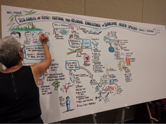 Photo Credit: Lauren Kaiser