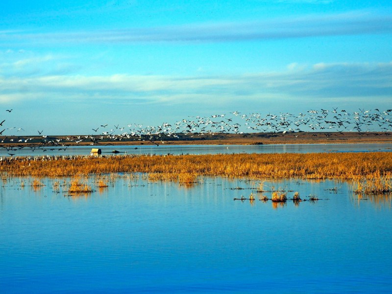 Balancing Act: Navigating Environmental Considerations For Renewable Energy&nbsp;Development