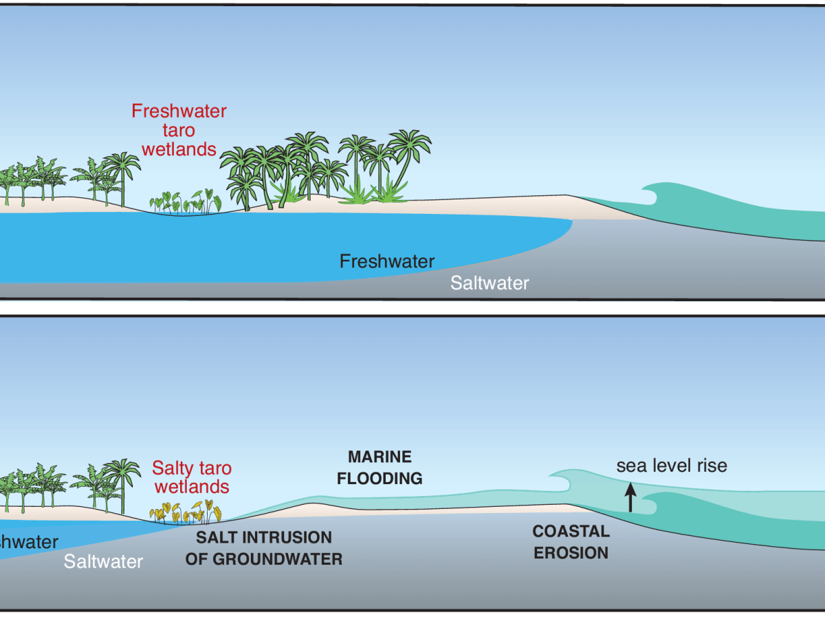 Rising Tides: The Growing Challenge of Overwash in the Pacific&nbsp;Islands
