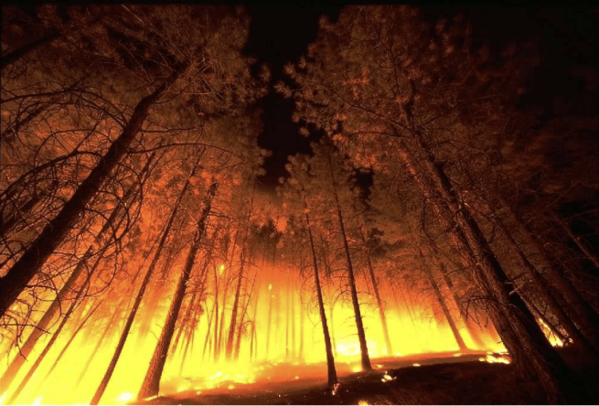 Behind the Flames: Understanding California’s Wildfire&nbsp;Crisis