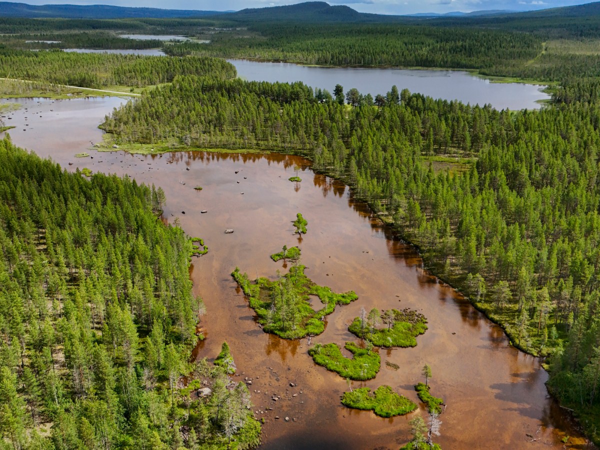 Scientists improve estimates of climate-warming methane from wetlands in Northern&nbsp;Europe