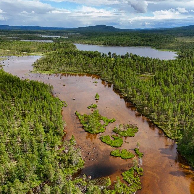 Scientists improve estimates of climate-warming methane from wetlands in Northern&nbsp;Europe